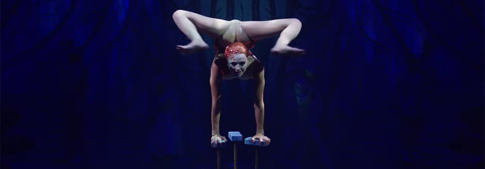 Cirque Du Soleil