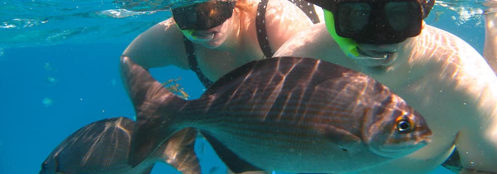 Cozumel snorkel