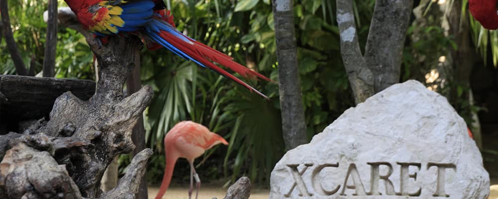 Xcaret